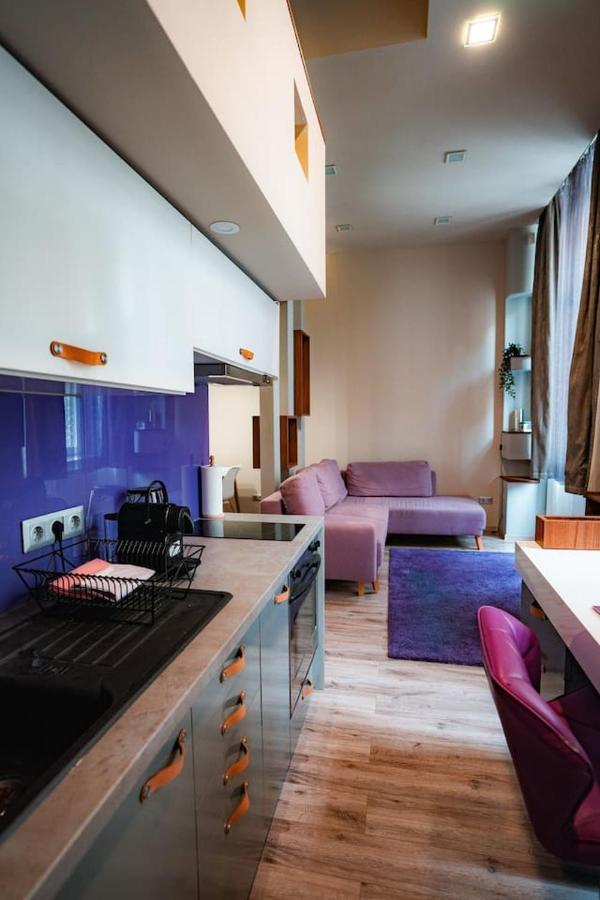 Elizabeth 44 Boulevard Apartment بودابست المظهر الخارجي الصورة